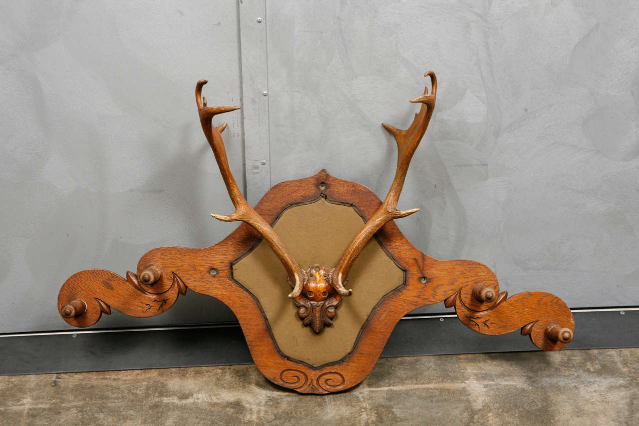 This Victorian carved oak and dear horn coat and hat rack hangs on the wall for a striking addition to any setting. The piece is in rare for its great condition with limited wear consistent with age.
