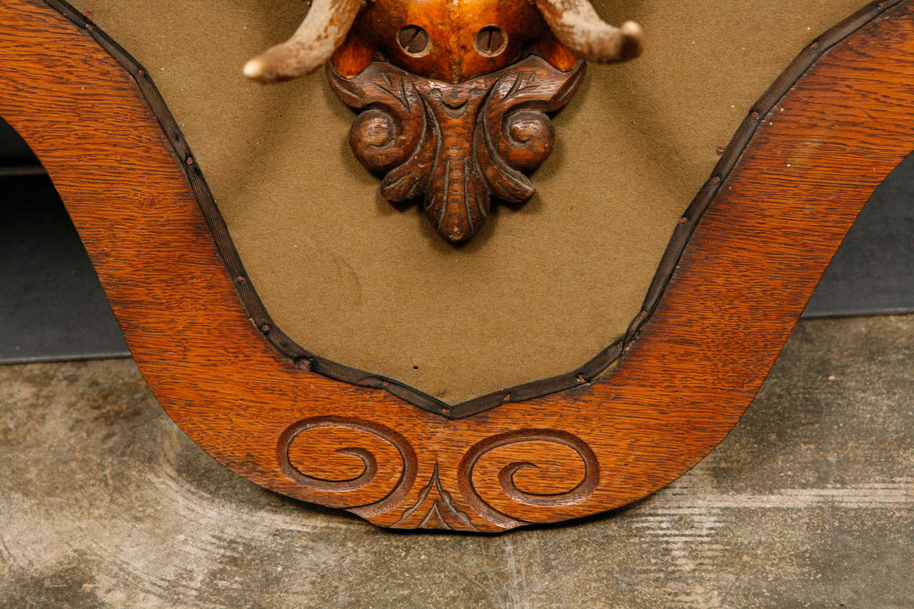 Victorian Carved Oak and Dear Horn Coat/Hat Rack In Good Condition For Sale In Culver City, CA