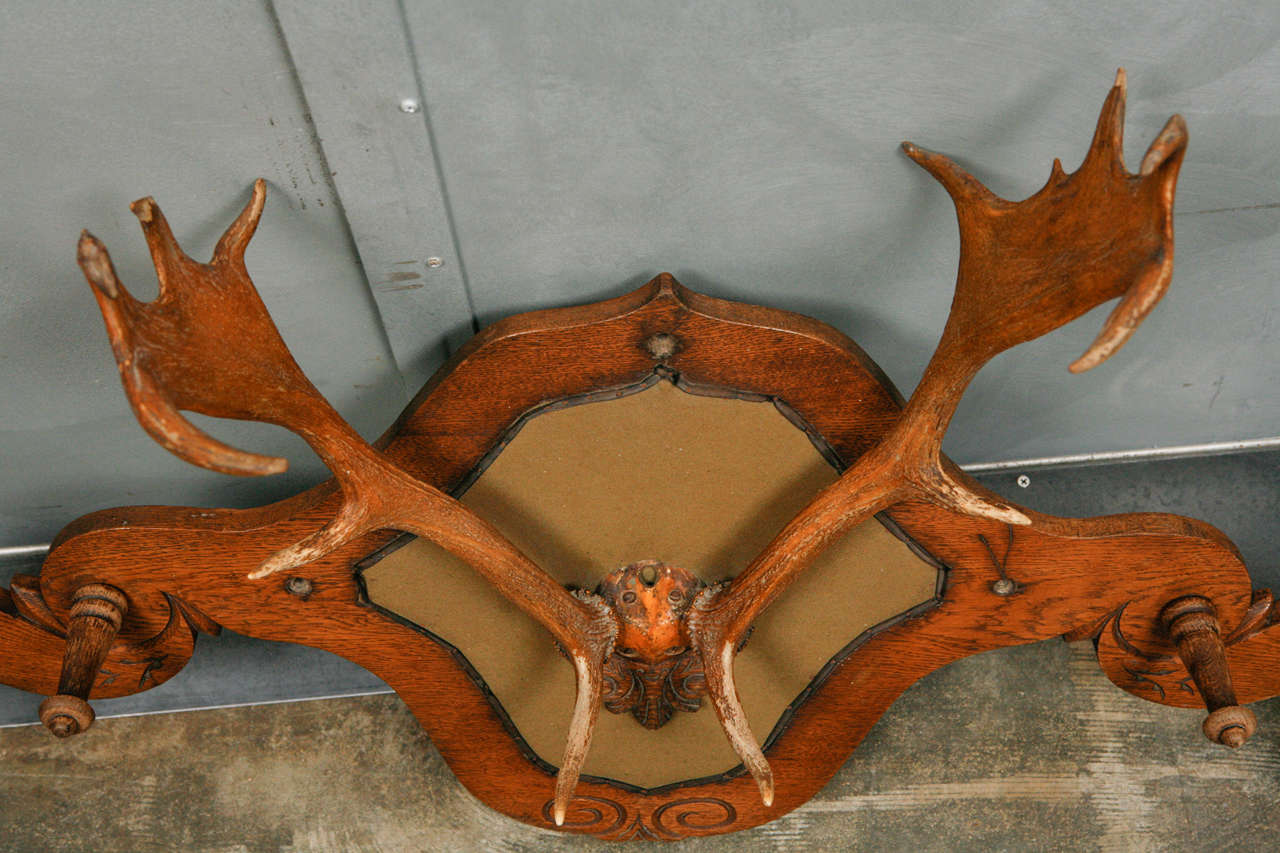 Victorian Carved Oak and Dear Horn Coat/Hat Rack For Sale 1