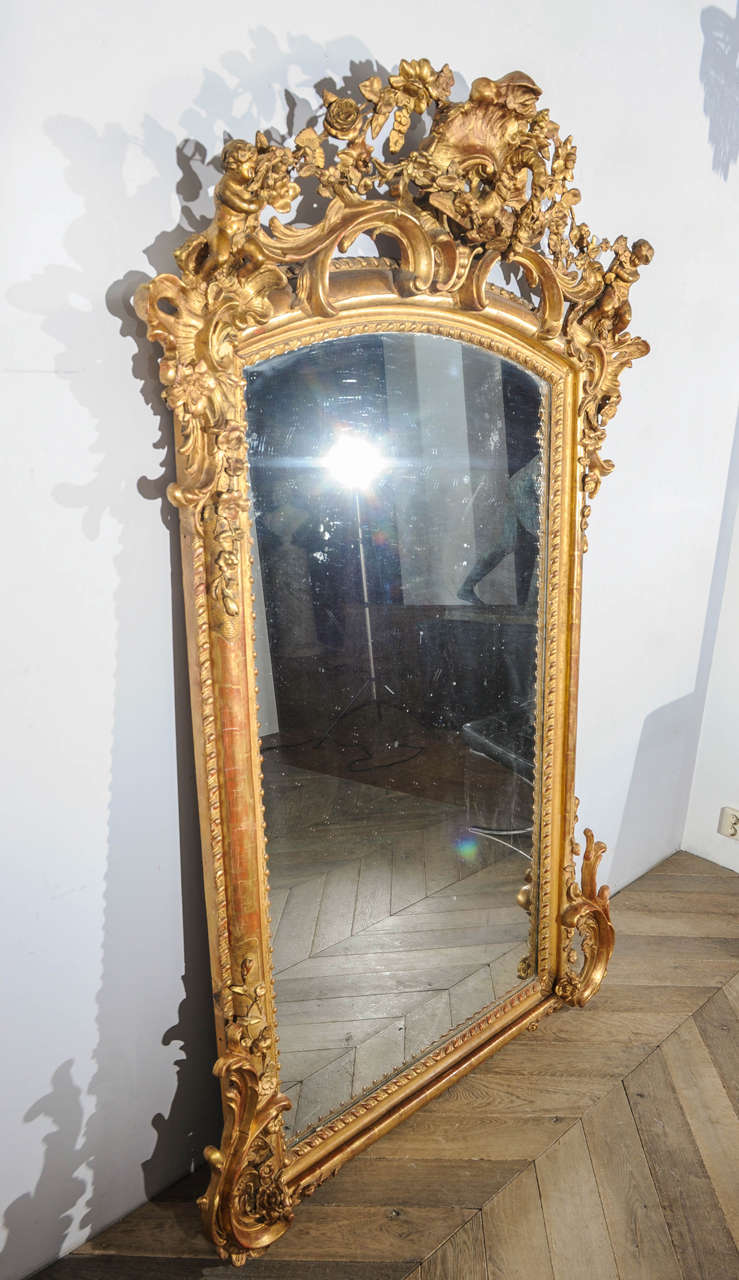 Large and Richly Decorated 19th Century French Rococo Giltwood and Gesso Mirror 1