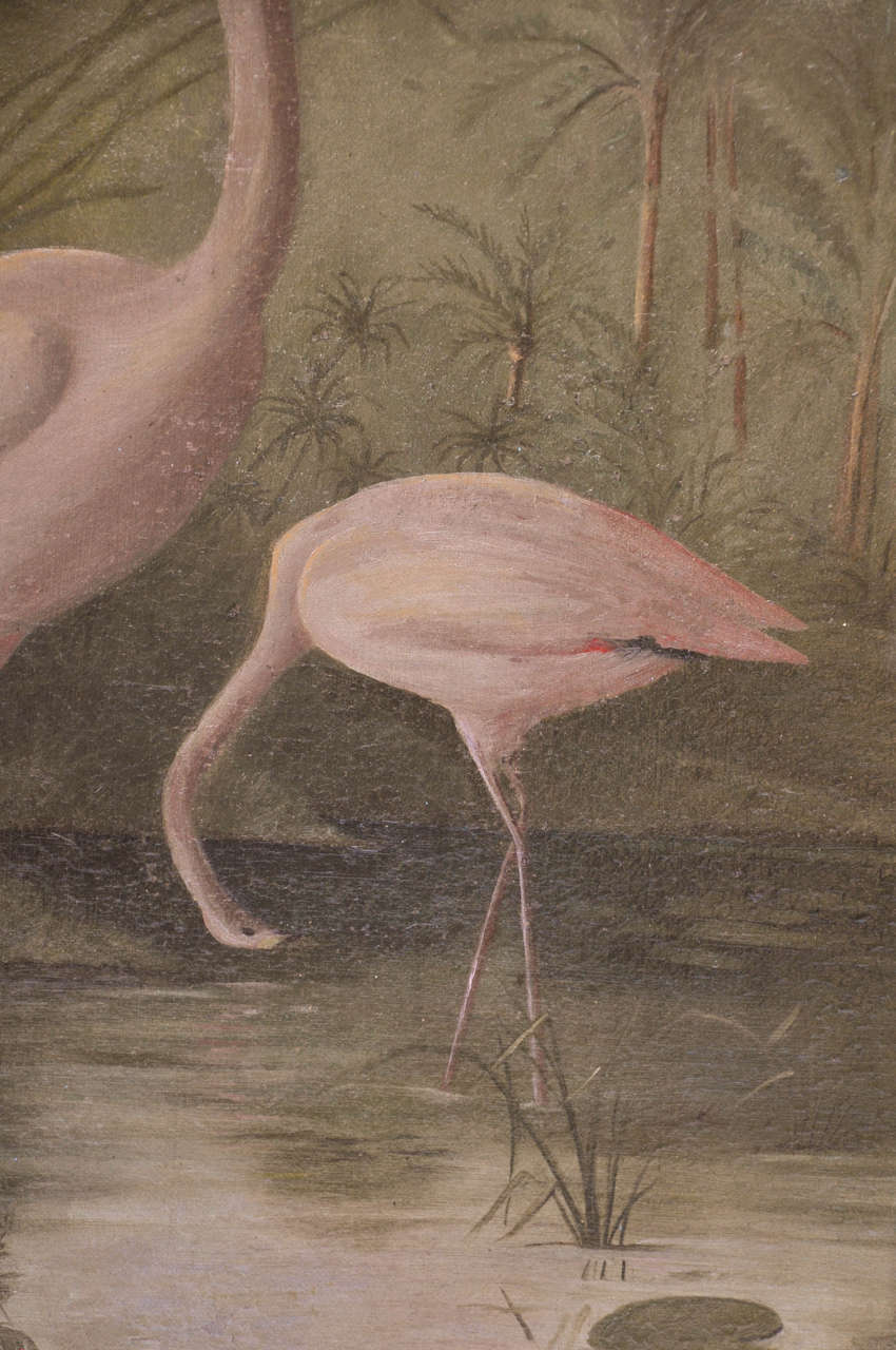 Canvas Florida Flamingo Painting, circa 1890