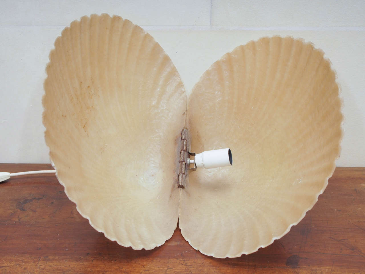 French Pair of 1960s Fibre de Verre Shell Shaped Lamps