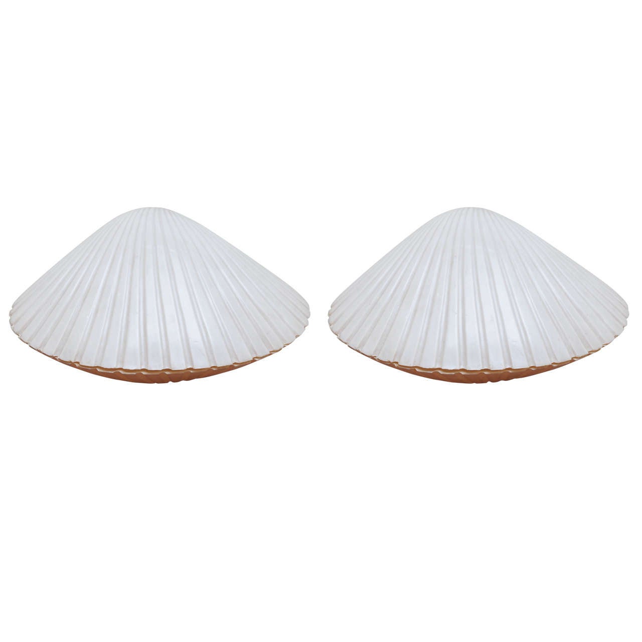Pair of 1960s Fibre de Verre Shell Shaped Lamps
