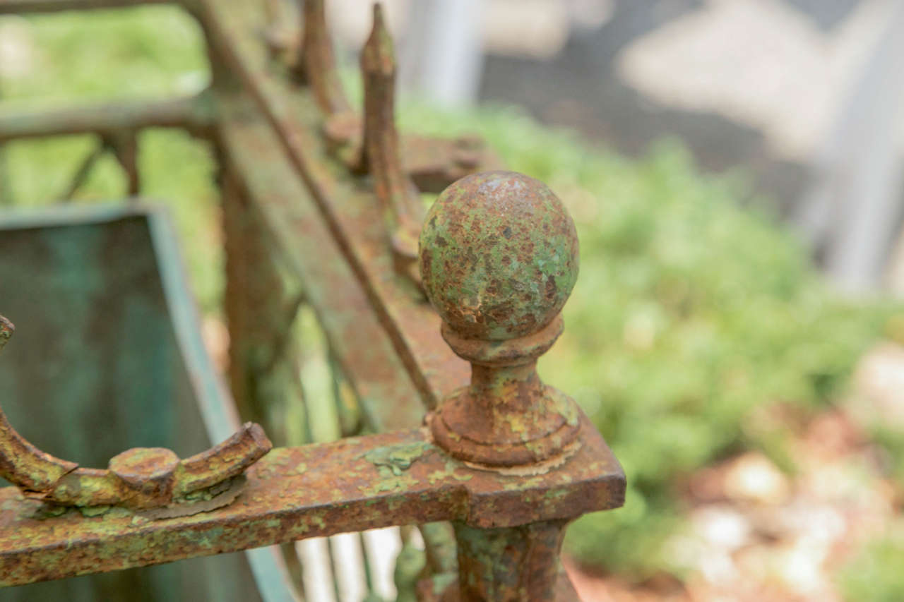 British Pair of Cast Iron Versailles Planters