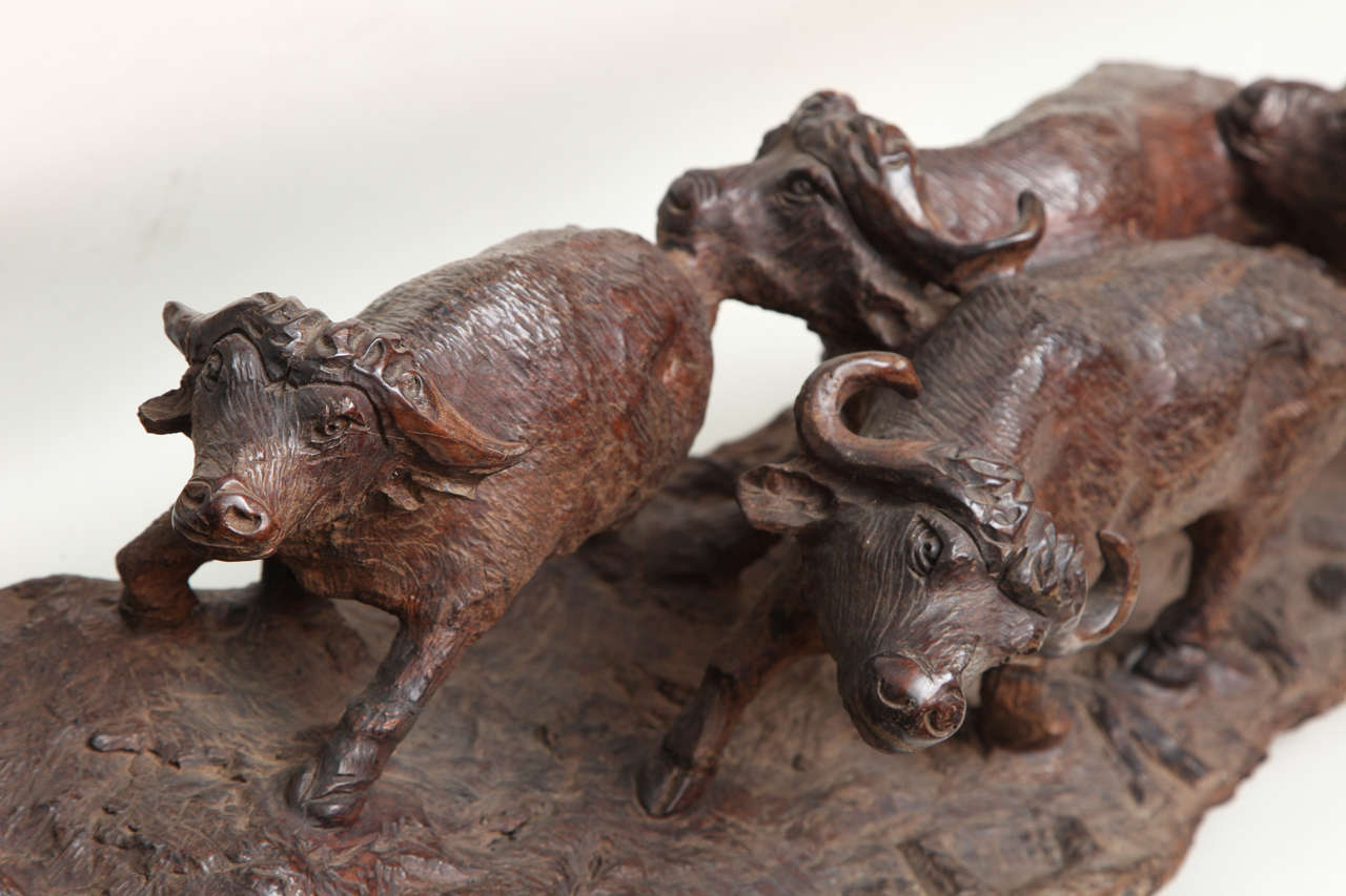 Cape Buffalo Stampede Sculpture