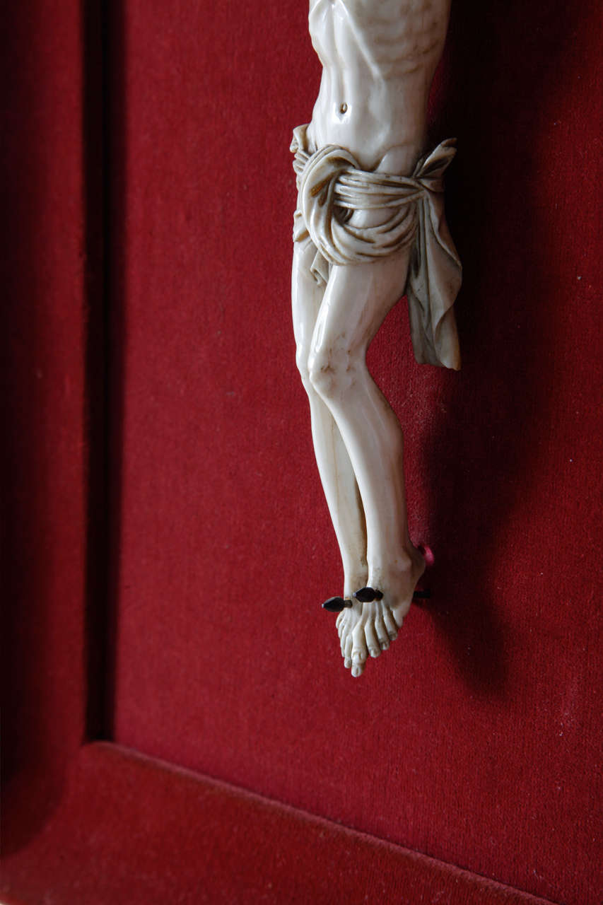 French Ivory Corpus Christi France