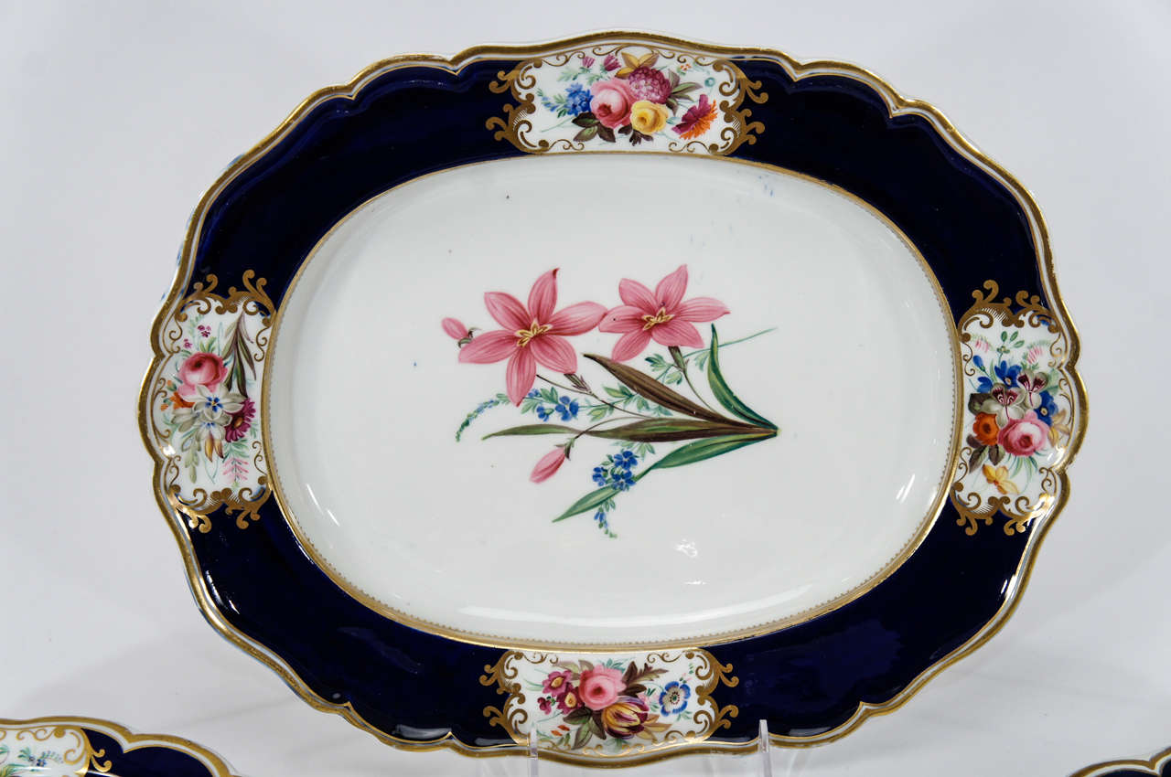 British Chamberlain's Worcester Hand Painted Botanical Serving Pieces
