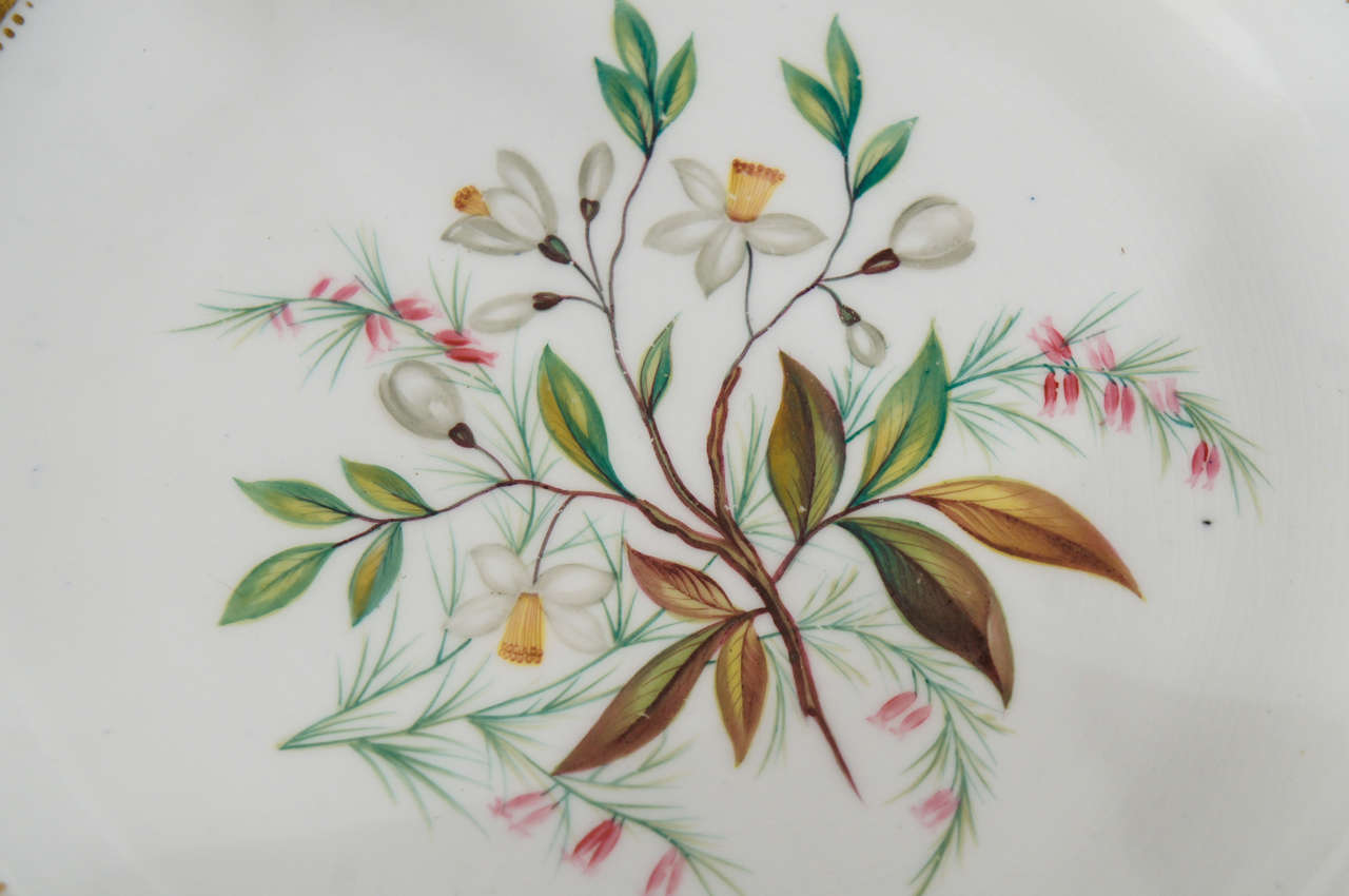 19th Century Chamberlain's Worcester Hand Painted Botanical Serving Pieces