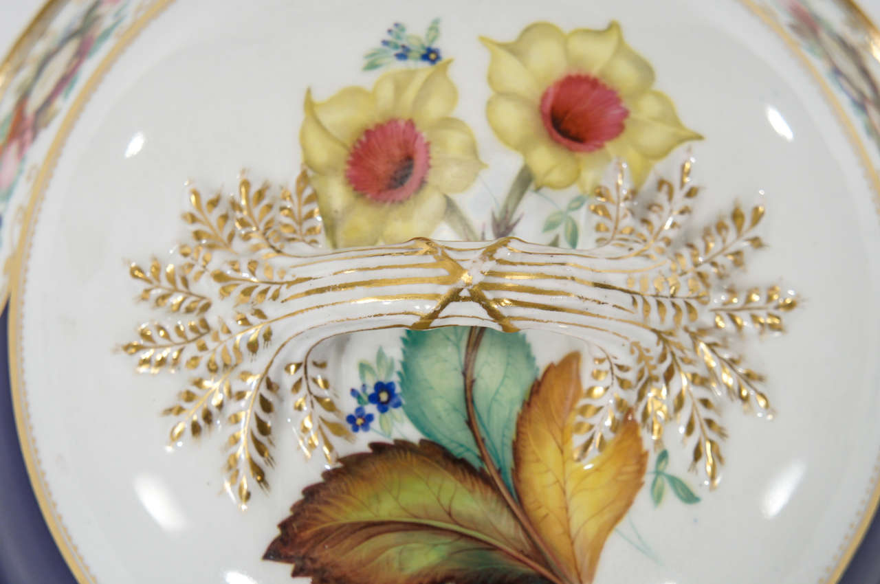 Chamberlain's Worcester Hand Painted Botanical Serving Pieces 2