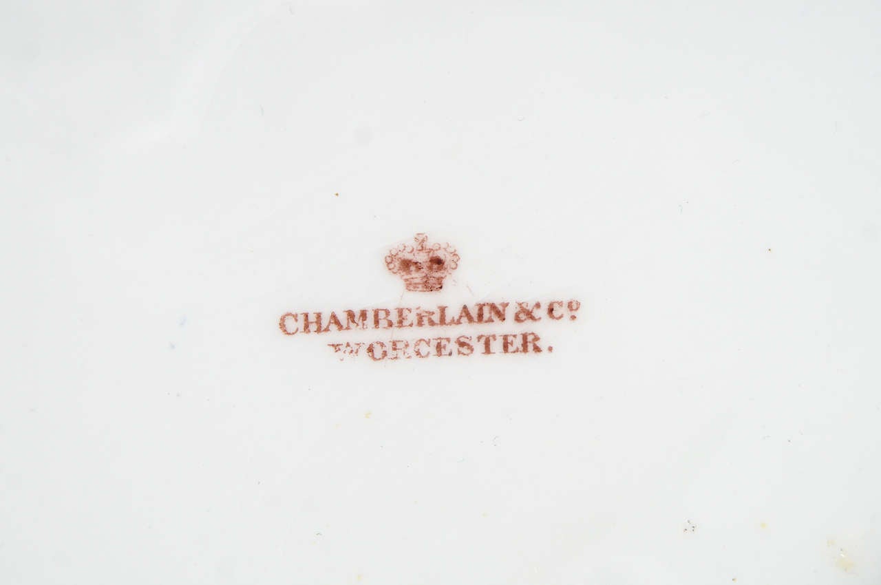 Chamberlain's Worcester Hand Painted Botanical Serving Pieces 4