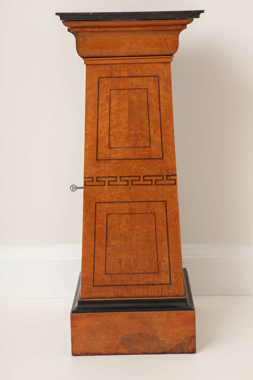 Charles X Bird's-Eye Maple and Amaranth Pedestal Cabinet 3