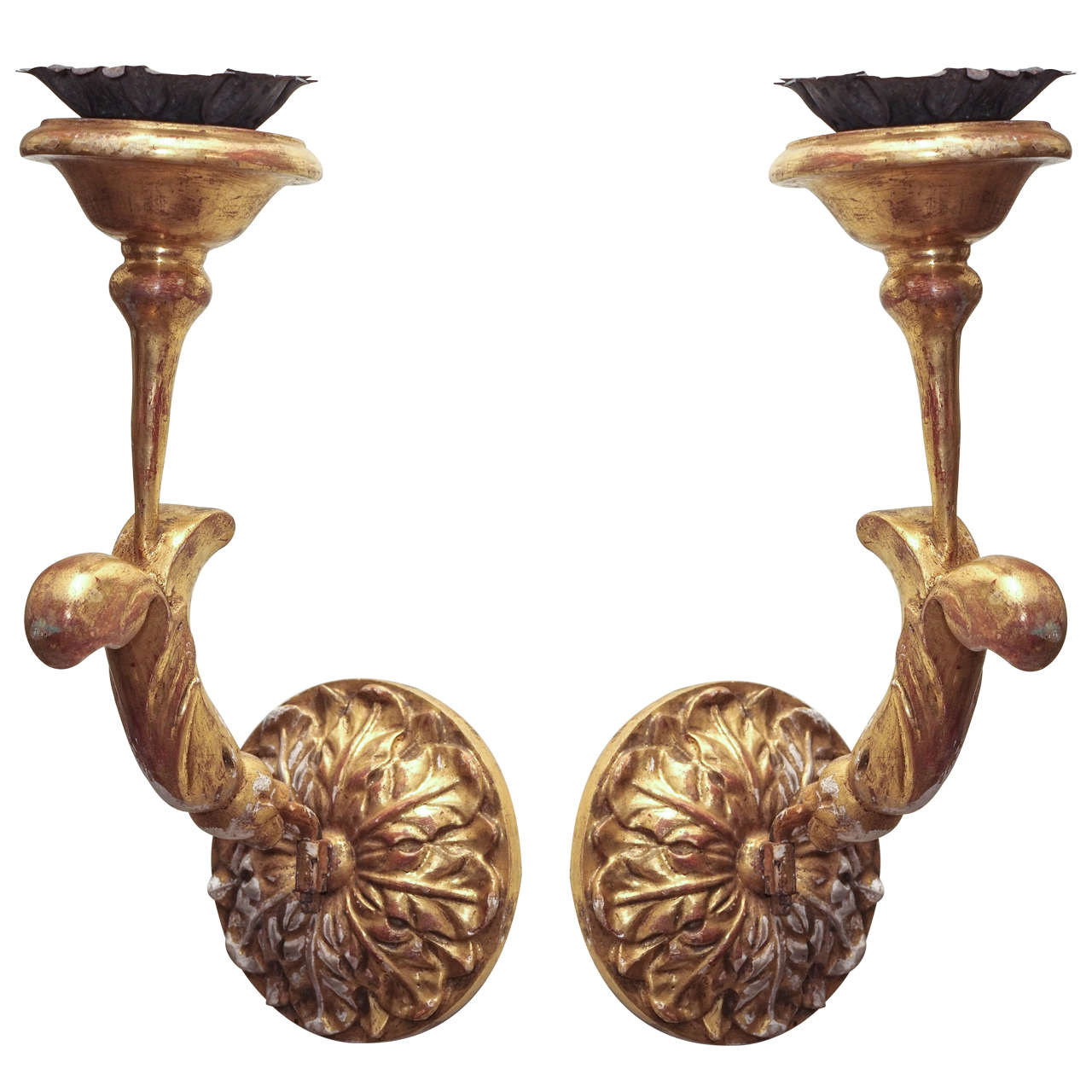 Pair of 19th c Bois Dore Sconces