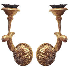 Pair of 19th c Bois Dore Sconces 7