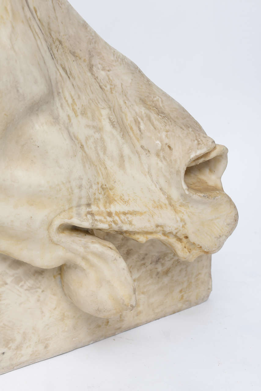 Classical Horse Head Sculpture 2