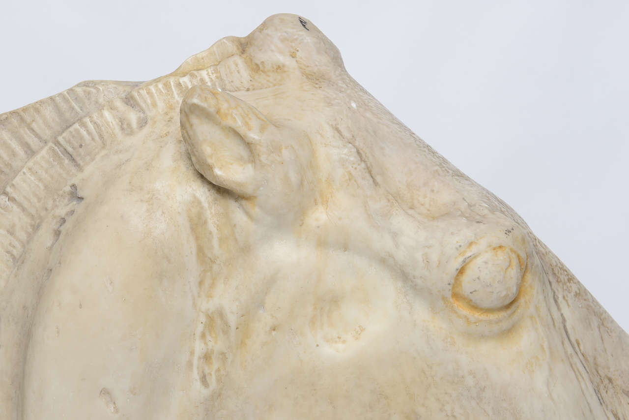 Classical Horse Head Sculpture 3