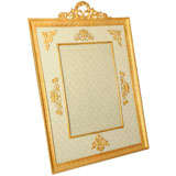 19th French bronze dore frame