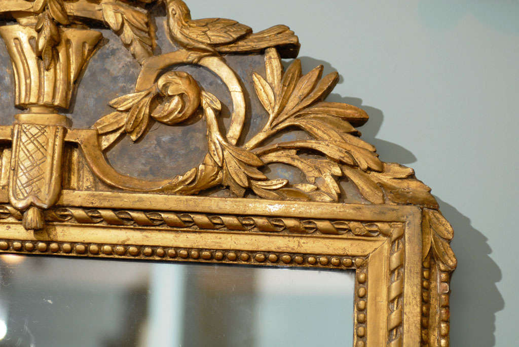 French 19th Century Gilded Carved Mirror with Bird and Rose Motifs 2