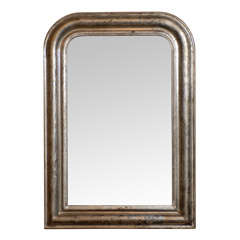 Silver Leaf Mirror