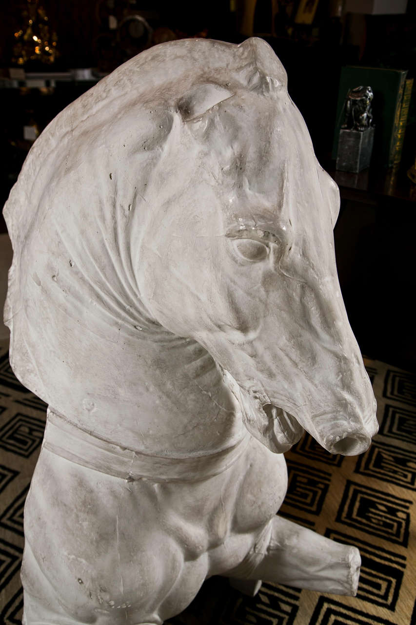 Monumental Late 19th C Continental Plaster Horse Sculpture In Good Condition In Stamford, CT