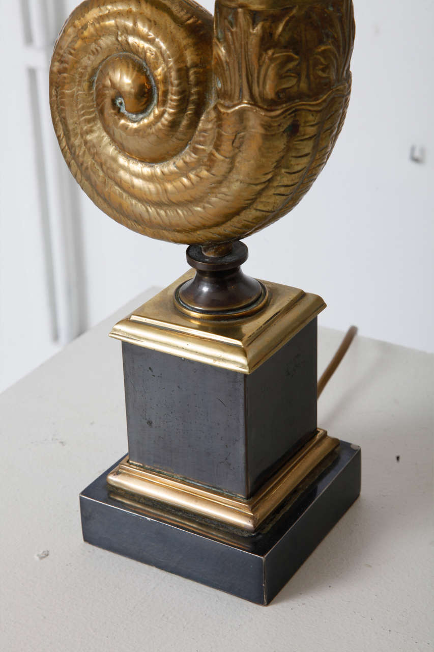 Mid-20th Century Pair of Ammonite Table Lamps For Sale