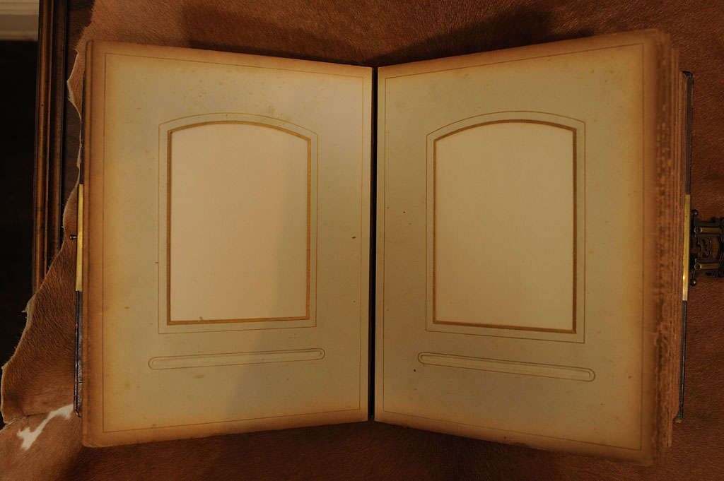 Embossed Leather & Brass Photo Album For Sale 3