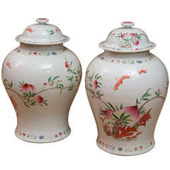Pair of painted and decorated ginger jars