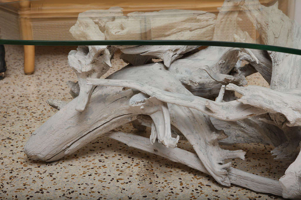 American Boomerang Driftwood Coffee Table