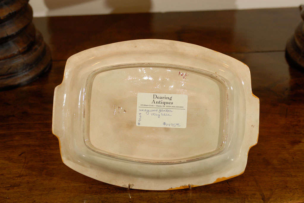 English Wedgwood Majolica Rare Platter 1