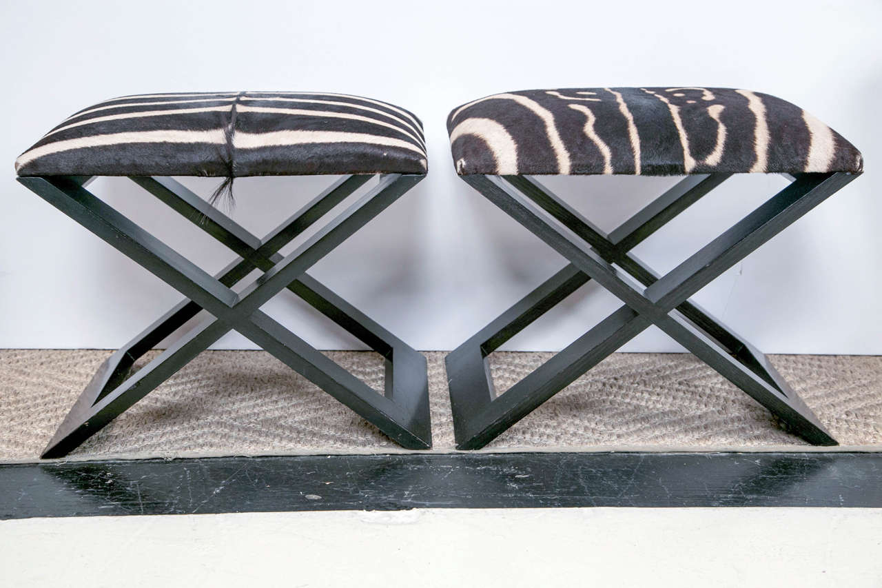 Pair of Zebra hide X benches