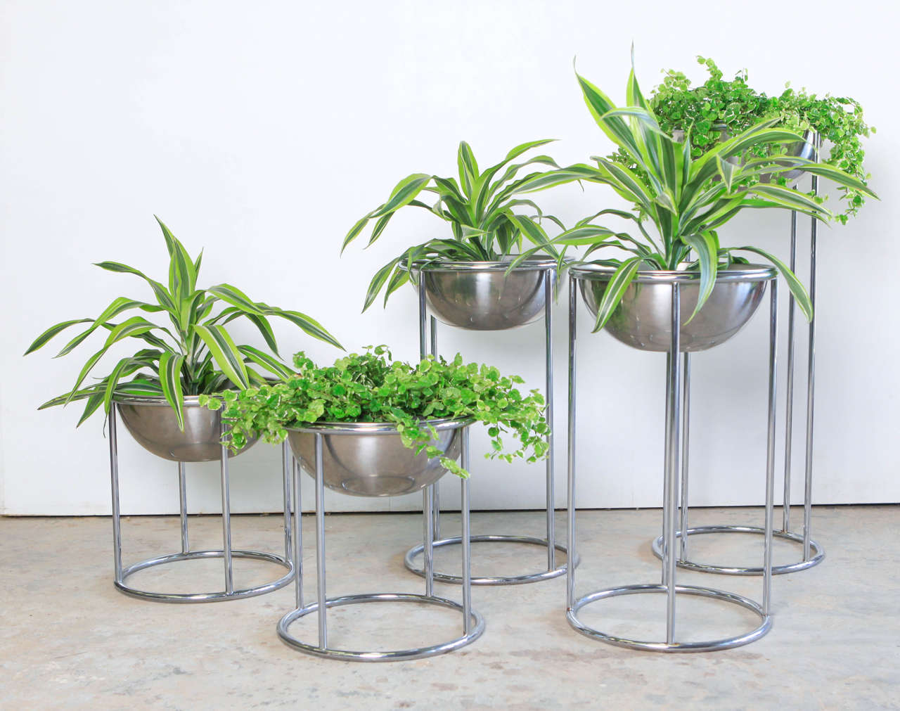 Set of five high quality chrome Hugh Acton planters. 

Pairs available for $1900.