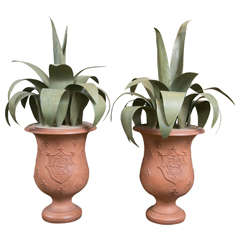 Terra Cotta Planter with Aloe Leaf Foliage 2