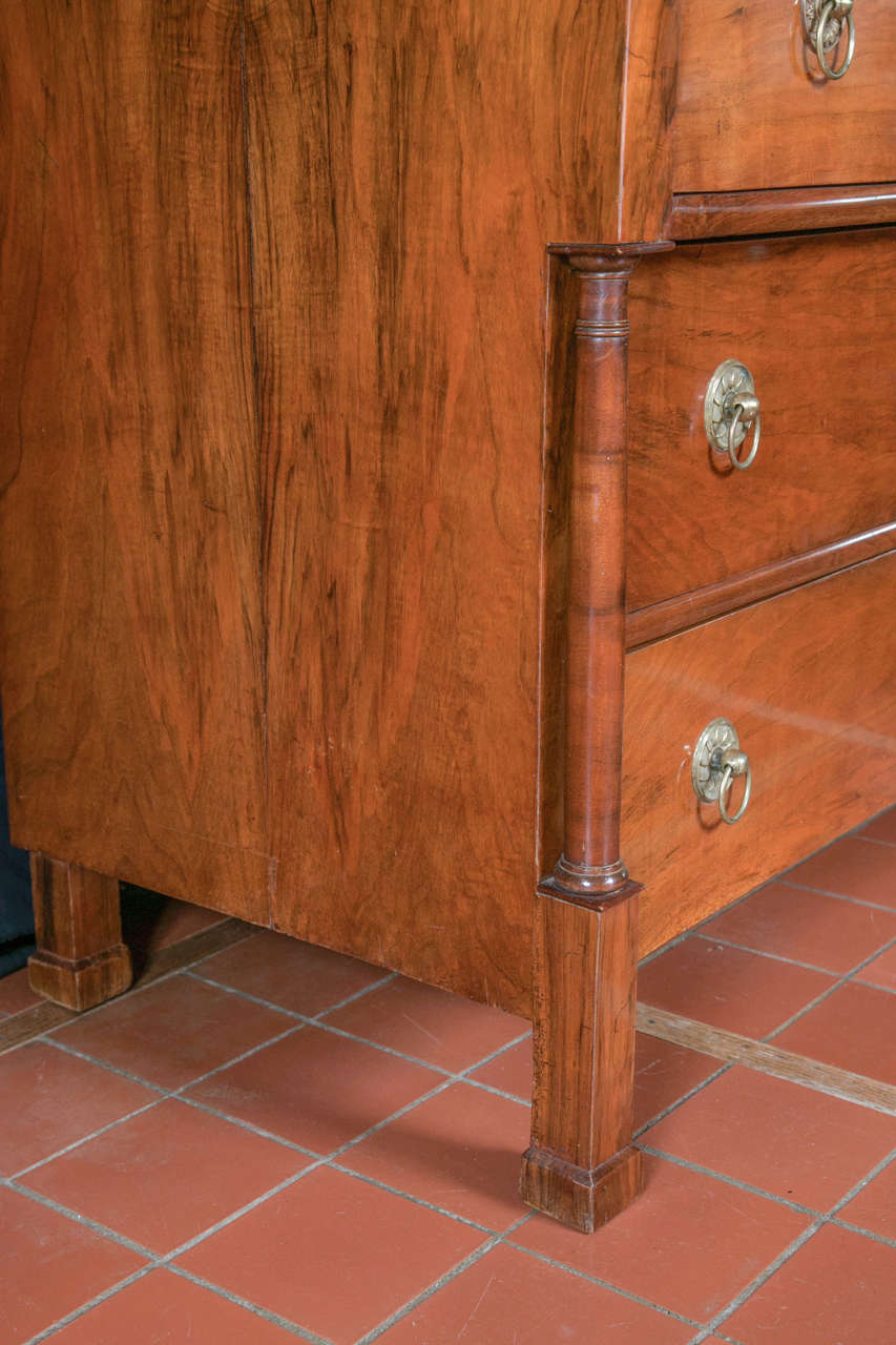 Austro-Hungarian Chest of Drawers in Walnut Root Veneer For Sale 1