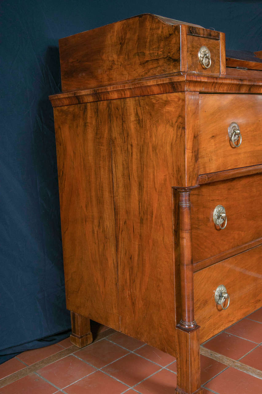 Austro-Hungarian Chest of Drawers in Walnut Root Veneer For Sale 2