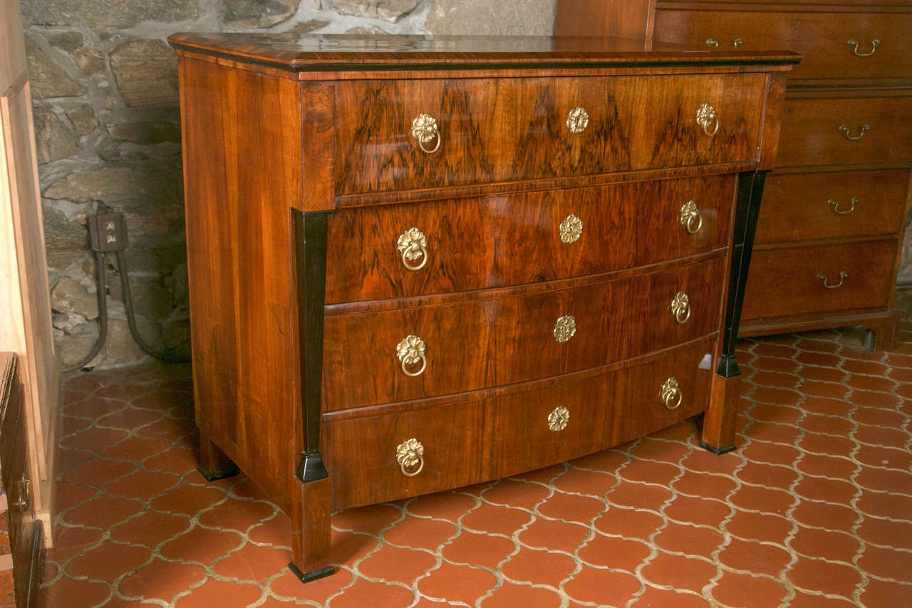 This is an Austro-Hungarian, mid-19th century interpretation of the evolution of Biedermeier style in walnut burr veneer. Ebonized columns support the cantilevered desk drawer with drop down front. Inside, the drawer fronts contrast the ebonized and