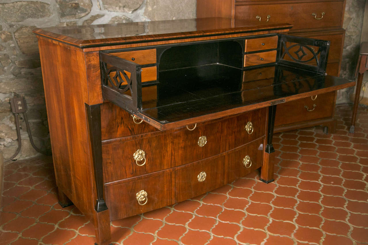 19th Century Austro-Hungarian Chest of Drawers with Secretaire 