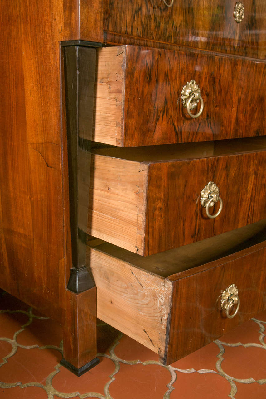 Austro-Hungarian Chest of Drawers with Secretaire  1