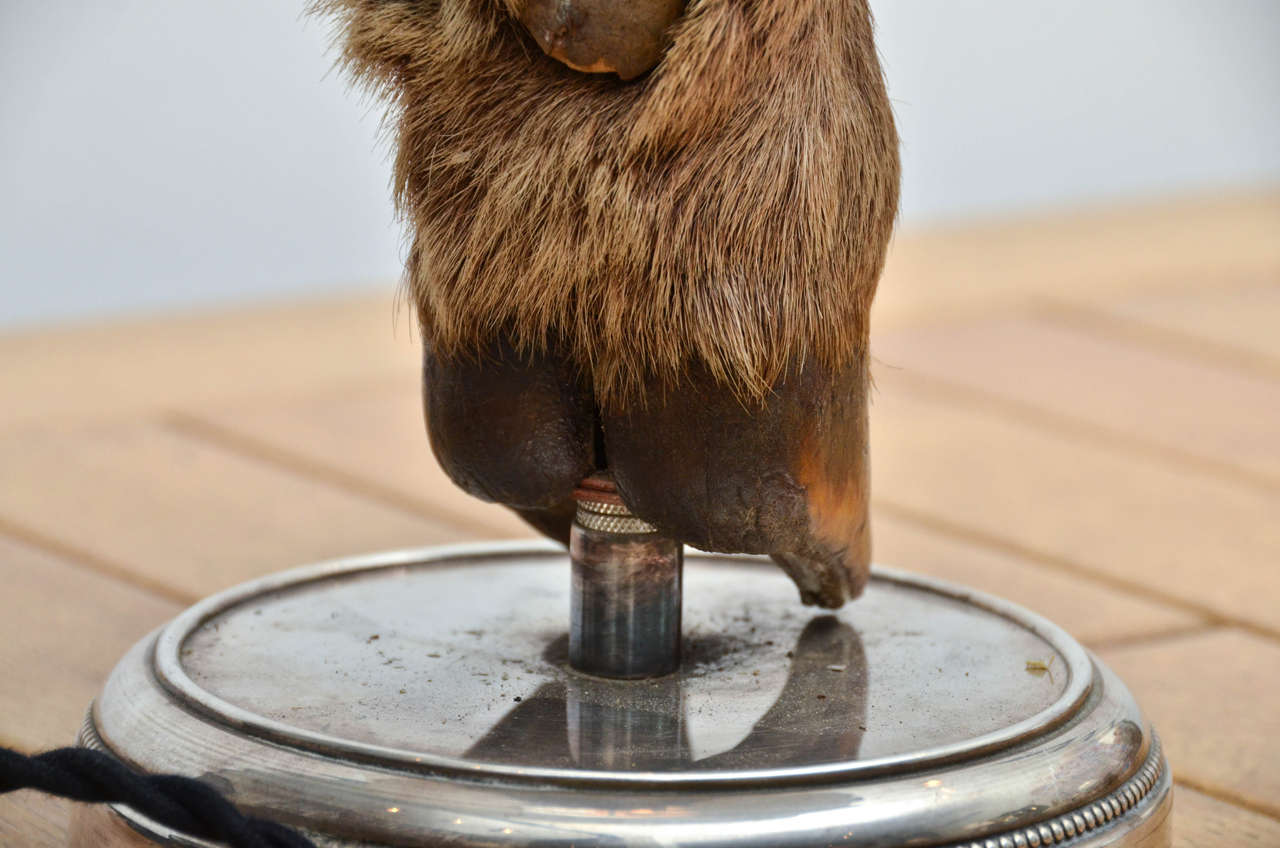 Vintage Deer Hoof Table Lamp with Nickel Base, United States, c. 1950 In Excellent Condition For Sale In New York City, NY