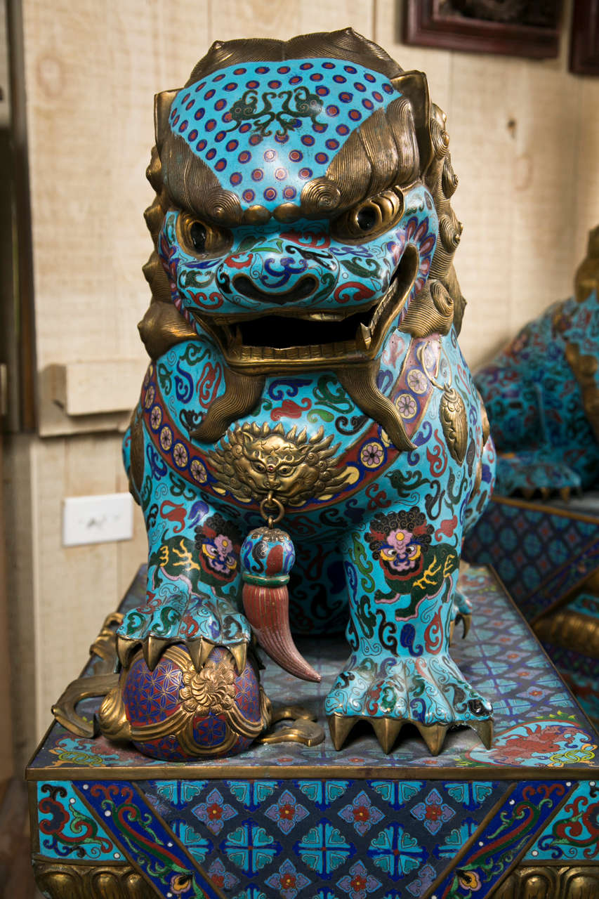 a dramatic pair of Chinese cloissone  foo dogs in typical pose, each sitting upon  integral plints and  separate wooden bases.
Please  contact dealer  directly  by using the Contact Dealer link on this page or by calling 203-263-1913