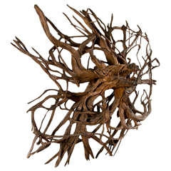 Large  Teak  Wood  Root Sculpture