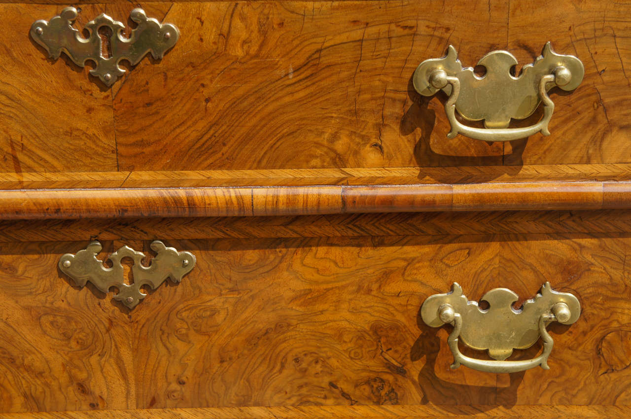 Brass Queen Anne Burled Walnut Slant Front Desk For Sale