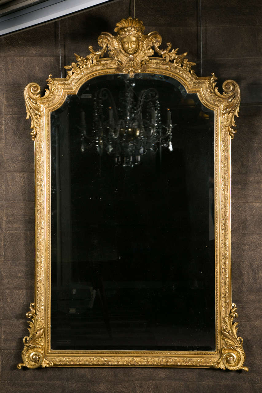 Stunning French Giltwood Mirror