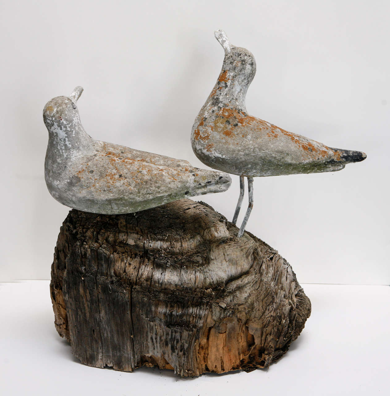 Charming sculpture of seagulls on a piece of driftwood.