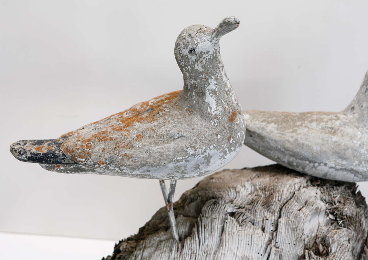 Unknown Early 20th C. Seagull Sculpture
