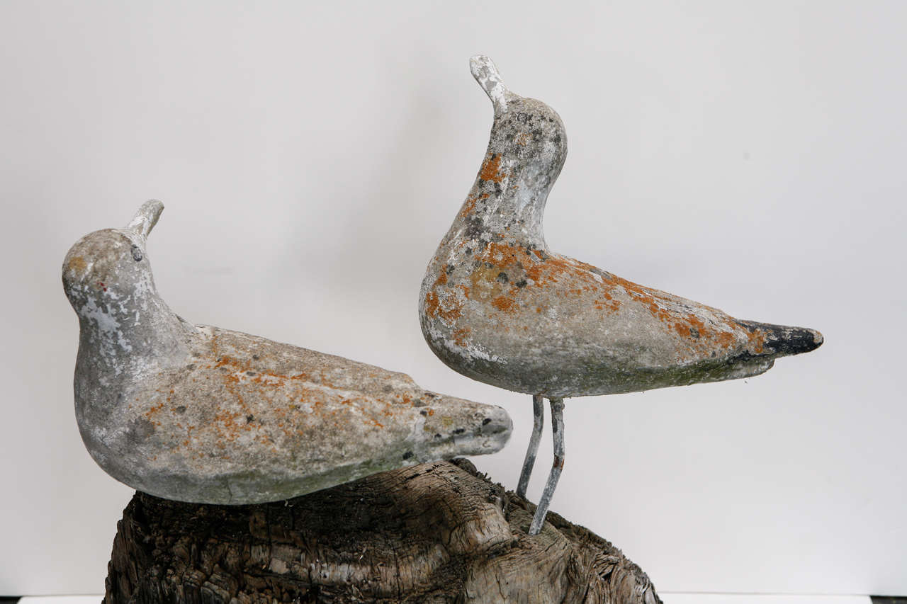 Early 20th C. Seagull Sculpture 1