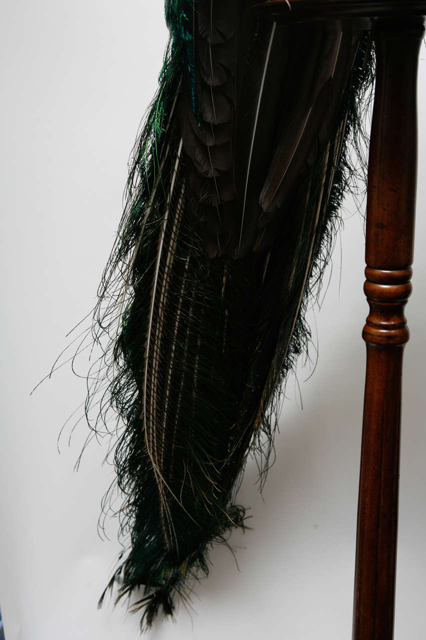Peacock From The Rio Grande Locale with Stand at 1stdibs