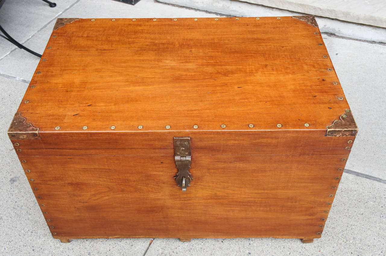 camphor wood chest india