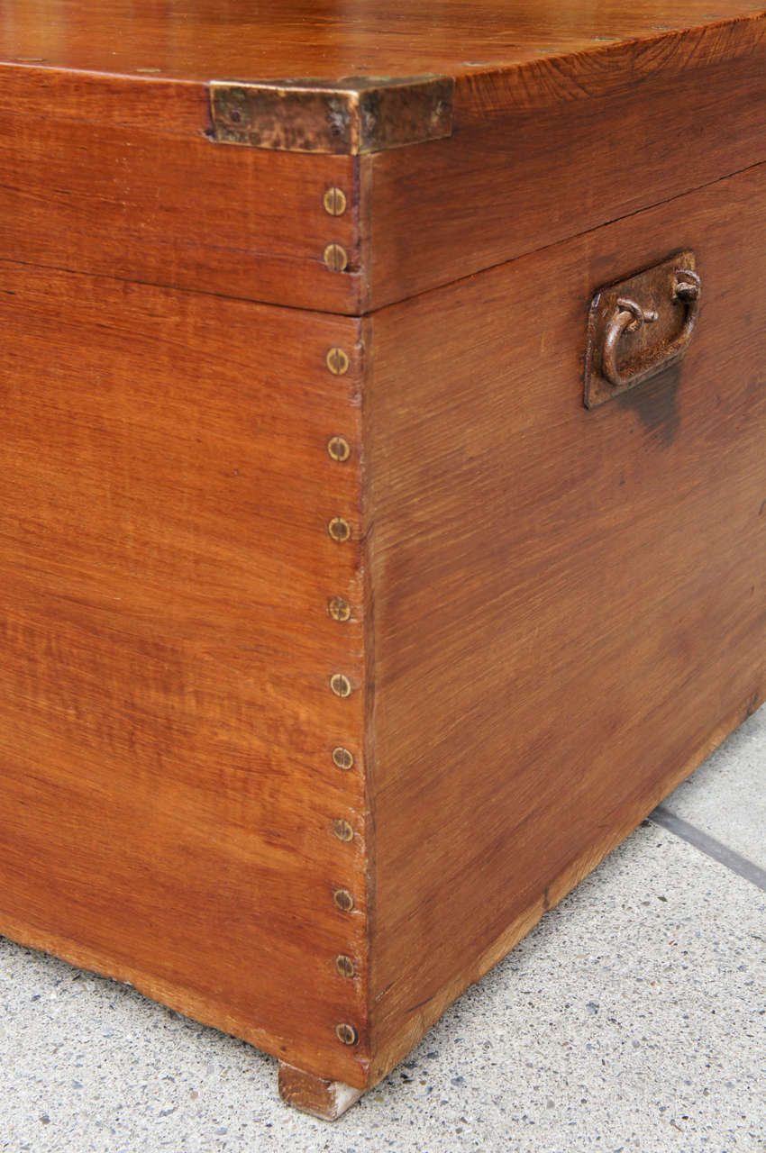 20th Century A Good Anglo-Indian Camphor Wood Trunk