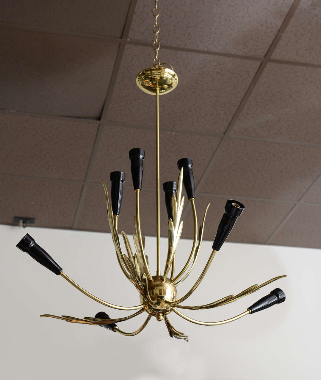 Polished brass leaves and arms with painted black tips, this eight-light chandelier will make a whimsical yet elegant source of light. Rewired.