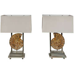 Pair of Limited Edition Ammonite Table Lamps by Dragonette Ltd.