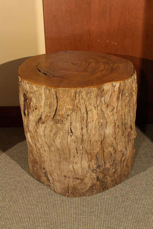 Philippine tree trunk pedestal of molave wood (yellow rosewood). This example was originally part of a building post. Molave (Vitex geniculata), a dense tropical hardwood now commercially extinct, is prized for its rich honey color and grain.